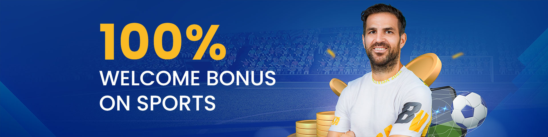 Promotion Banner